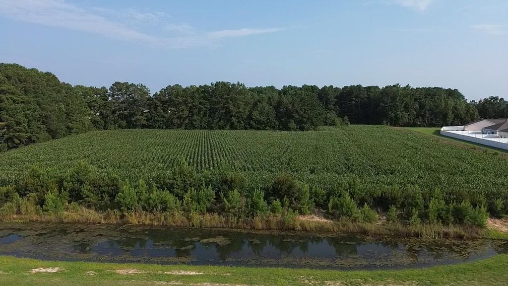 1621 Highway 9, Longs, SC 29568 — photo 5