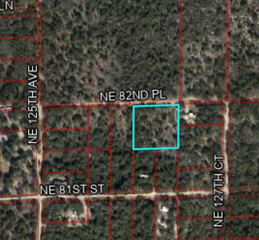 12790 NE 82ND PL, Bronson, FL 32621