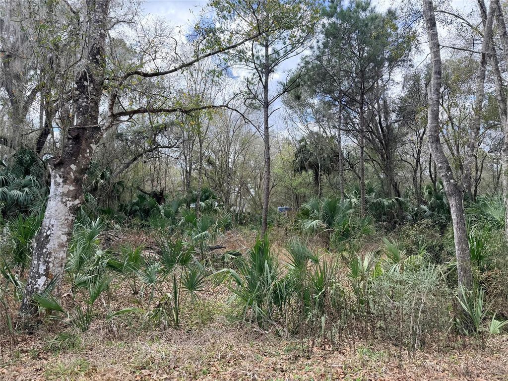 736 S SICKLE POINT, Inverness, FL 34450