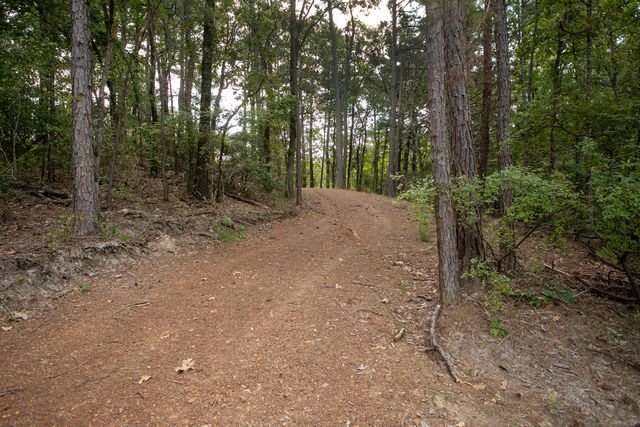 10000 FM 314, Brownsboro, TX 75756