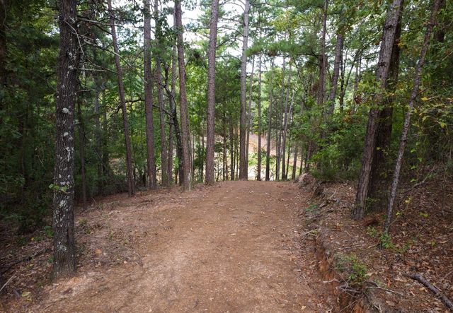 10000 FM 314, Brownsboro, TX 75756