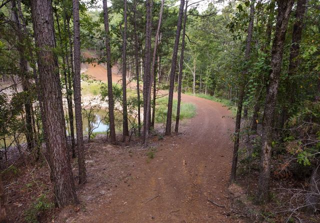 10000 FM 314, Brownsboro, TX 75756