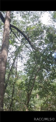 0 SW PEACOCK Drive, Dunnellon, FL 34431