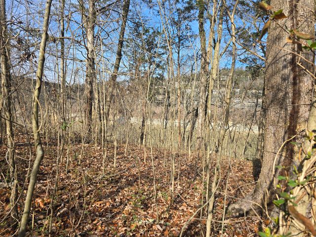 386 E Lakeshore Drive, Burnside, KY 42519