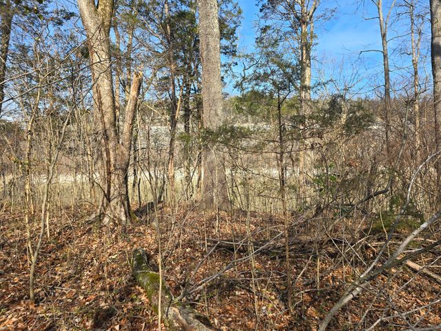 386 E Lakeshore Drive, Burnside, KY 42519