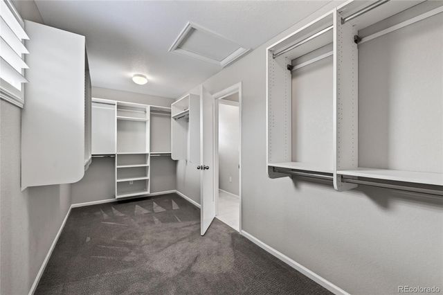 3423 Pacific Peak Drive, Broomfield, CO 80023