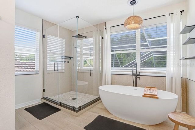 18124 COURTNEY BREEZE DRIVE, Tampa, FL 33647