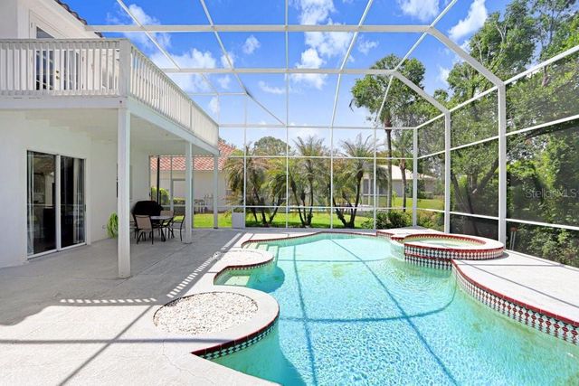 18124 COURTNEY BREEZE DRIVE, Tampa, FL 33647