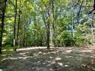 0 US-31 S, Williamsburg, MI 49690