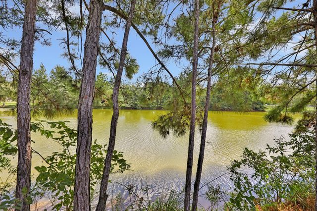 15933 Enloe Street, Splendora, TX 77372