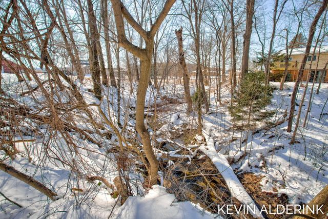 4525 135th Avenue, Hamilton, MI 49419