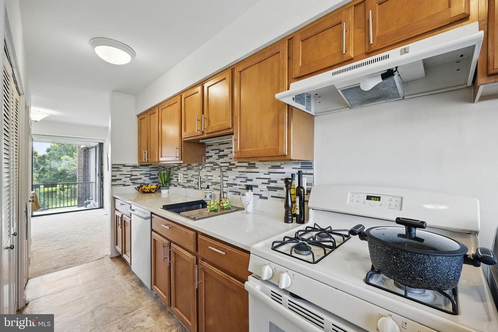 2107 Walsh View Ter # 14-301, Silver Spring, MD 20902