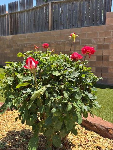 7628 Mesa Del Oro Lane, Santa Fe, NM 87507