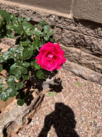 7628 Mesa Del Oro Lane, Santa Fe, NM 87507