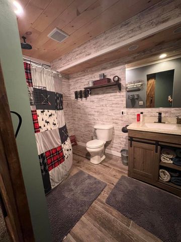 111 Foxtail Drive, Ionia, MI 48846