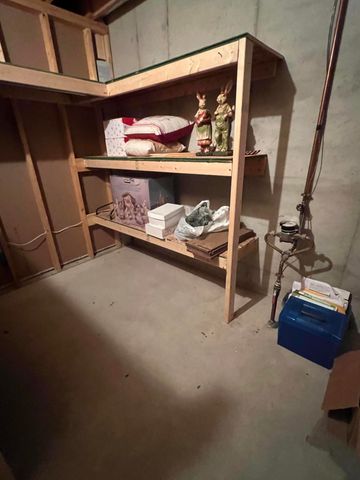 111 Foxtail Drive, Ionia, MI 48846