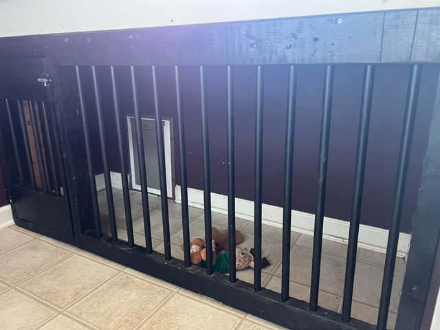 111 Foxtail Drive, Ionia, MI 48846