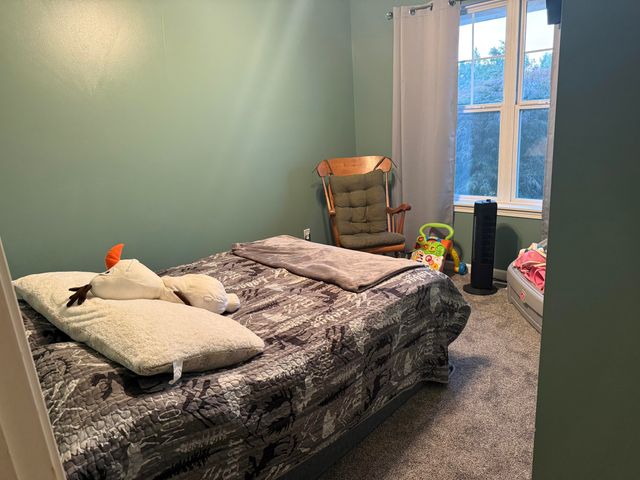 111 Foxtail Drive, Ionia, MI 48846