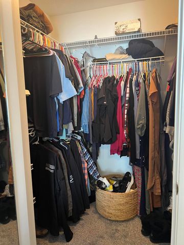 111 Foxtail Drive, Ionia, MI 48846