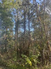 1869 Cedar Creek Circle, Coden, AL 36523