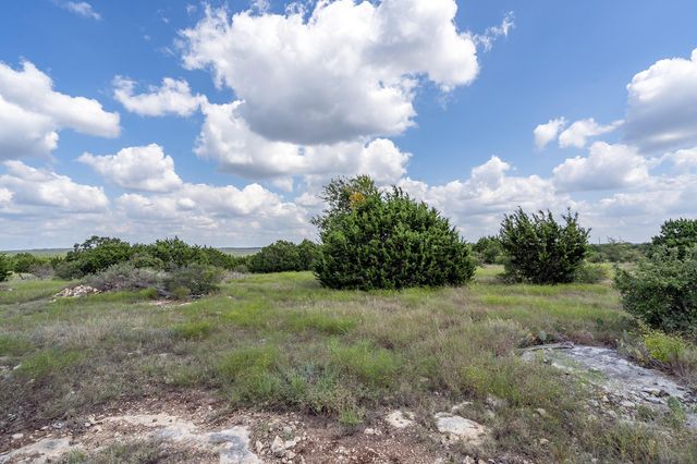 5 Saddle Ridge DR, Bertram, TX 78605