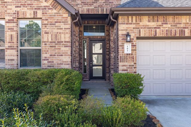 107 Yellow Perch Way, Conroe, TX 77318