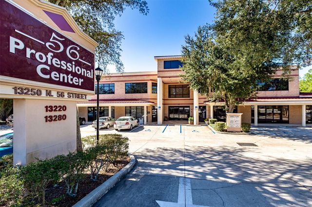 13250 N 56TH STREET 203, Temple Terrace, FL 33617