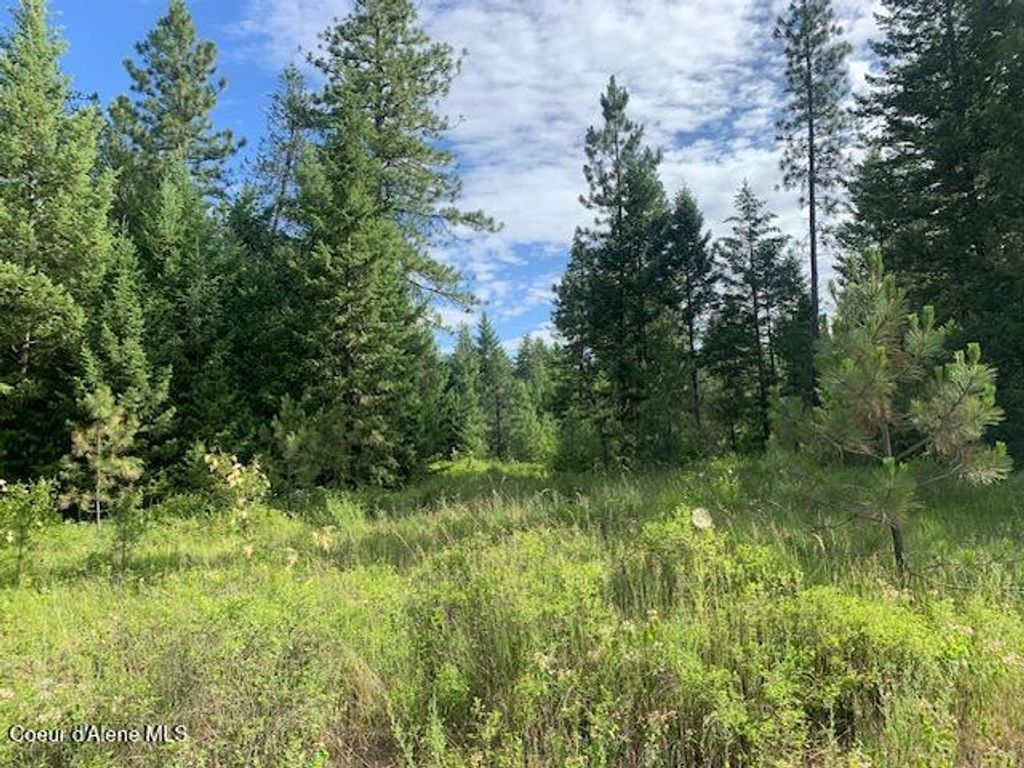 NKA Northern Sky Rd. lot 1, Athol, ID 83801