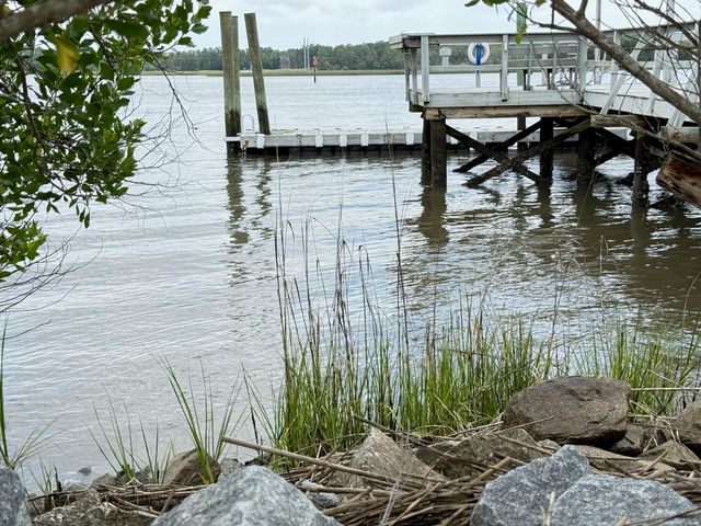 213 Ashmont Drive, Wando, SC 29492