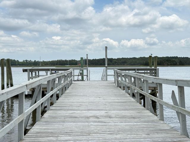 213 Ashmont Drive, Wando, SC 29492