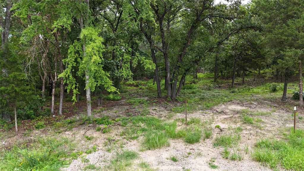 TR 3 Valle Vista Drive, Athens, TX 75751