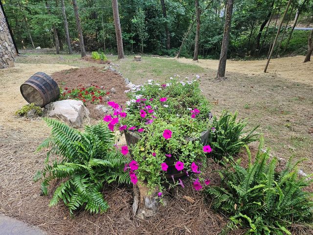 597 S Bishop Trail, Rocky Face, GA 30740