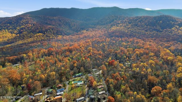 273 Harmony Way, Cosby, TN 37722