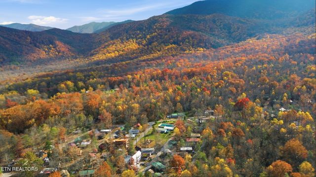 273 Harmony Way, Cosby, TN 37722