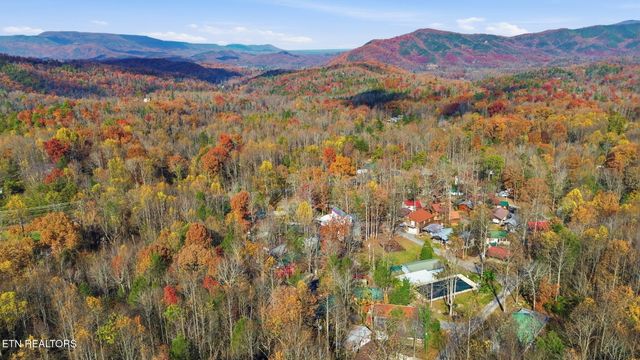 273 Harmony Way, Cosby, TN 37722