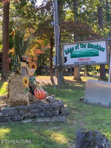 273 Harmony Way, Cosby, TN 37722