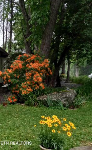 273 Harmony Way, Cosby, TN 37722