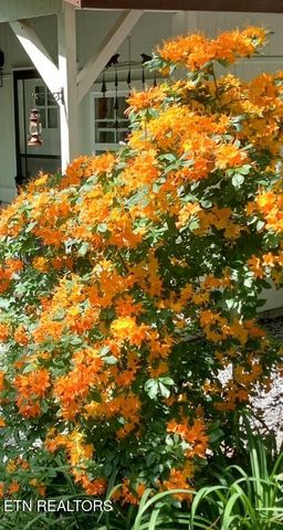 273 Harmony Way, Cosby, TN 37722