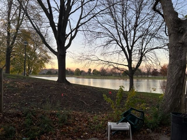 1010 Denham Place, Schaumburg, IL 60194