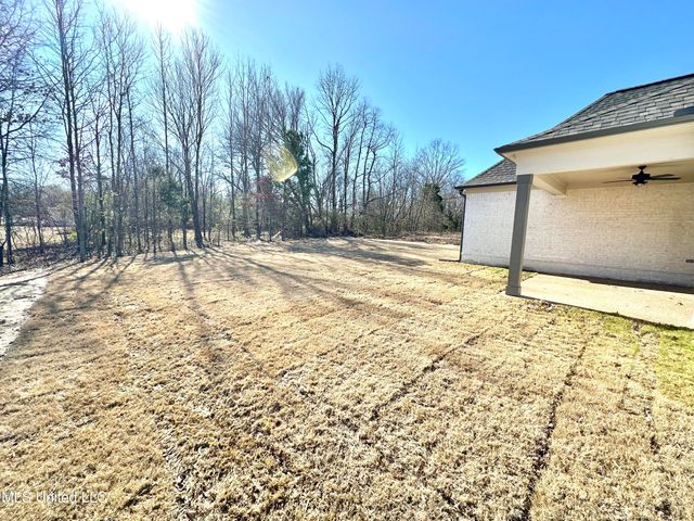 3621 Hatton Drive, Nesbit, MS 38651