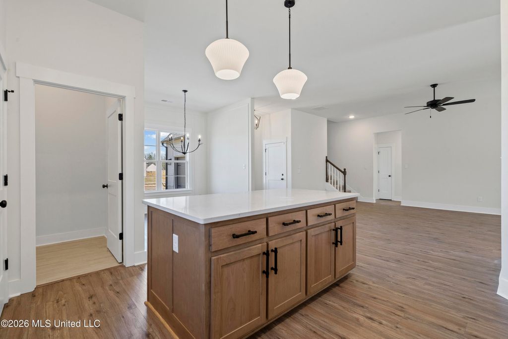 3621 Hatton Drive, Nesbit, MS 38651 — photo 5