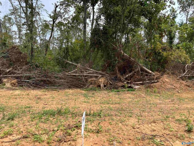 21394 Holland Road, Athens, AL 35614