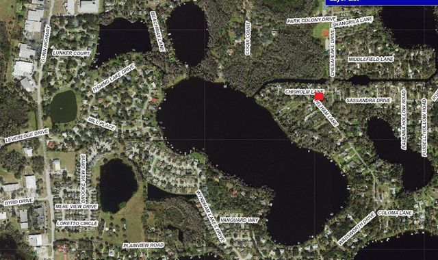 14328 CHISHOLM LANE, Odessa, FL 33556