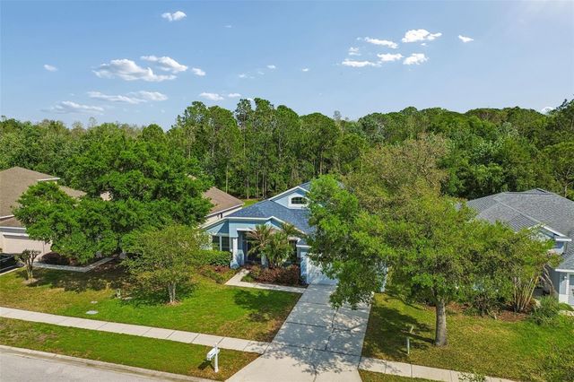 5214 VILLAGEBROOK DRIVE, Wesley Chapel, FL 33544