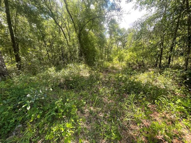 0 HAAS DRIVE, Webster, FL 33597