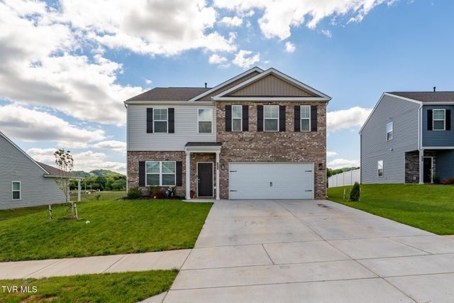 309 Cookie Loop, Johnson City, TN 37615