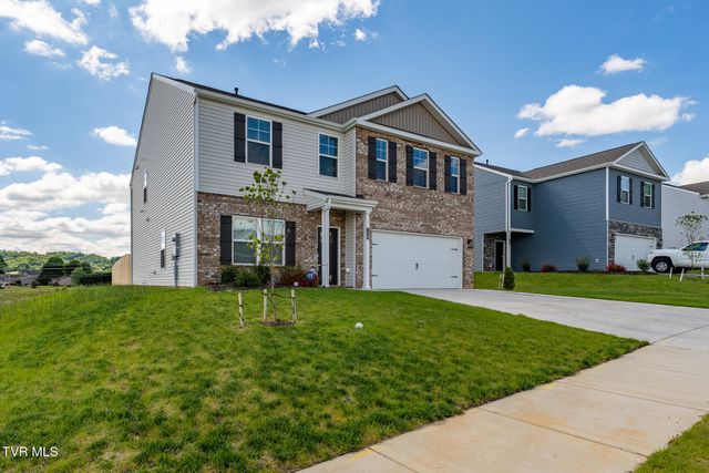 309 Cookie Loop, Johnson City, TN 37615