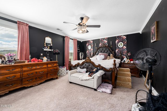 309 Cookie Loop, Johnson City, TN 37615