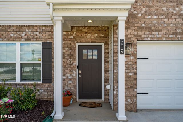 309 Cookie Loop, Johnson City, TN 37615