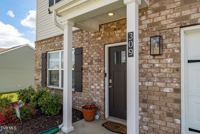 309 Cookie Loop, Johnson City, TN 37615